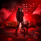 HOODSTAR
