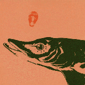 Music For The Young And The Restless