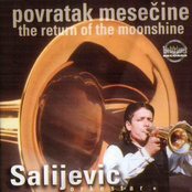 orkestar salijević