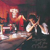 Spirit of the Mule