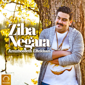 Ziba Negara