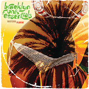 S-curved by Brooklyn Funk Essentials