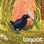 Slow, Fast, Wait & See by Loquat