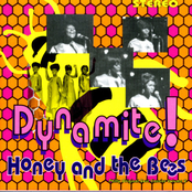 Dynamite Exploded by Honey & The Bees