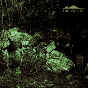 The Forest