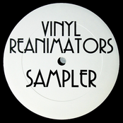 Vinyl Reanimators