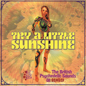 Try A Little Sunshine: The British Psychedelic Sounds Of 1969