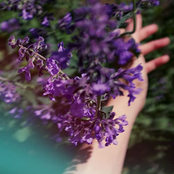 Woman (feat. Lady Lamb)