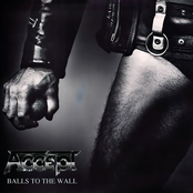 Accept: Balls to the Wall