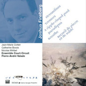 Fineberg-Streamlines tremors a ripple-Ringed pool breathepar adigms...-Court-Circuit