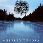 Weeping Tundra