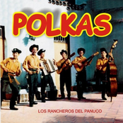 los rancheros del panuco, mariachi redova