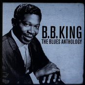 b.b. king & friends