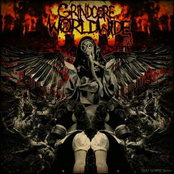 Grindcore Worldwide Compilation Vol. 3