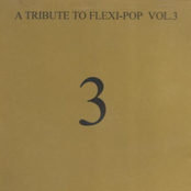 a tribute to flexi-pop vol. 3