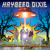 Blackbirds And Crows by Hayseed Dixie