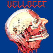 Welcome To Dimension Four