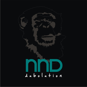 EP 2010 - Dubolution