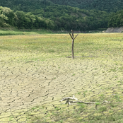 “Underground” Original Soundtrack