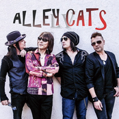 ALLEY CATS LV