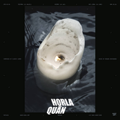 Quān