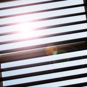 Lets Evolve - Single