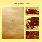 Running Around The White Picket Fence by Bluebottle Kiss