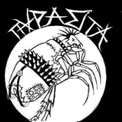 Parasita