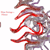 nine strings + pilesar