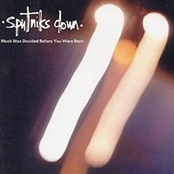 Much Was Decided Before You Were