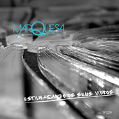 Single - Estilhaçando os seus vidros