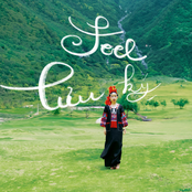 Feel lưu ký