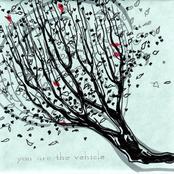 You Are the Vehicle