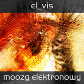moozg elektronowy