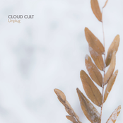 You Were Born by Cloud Cult