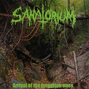 Cemetery Of Memories by Sanatorium