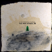 If A Lot Of Bands Play In The Woods...