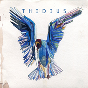 Thidius