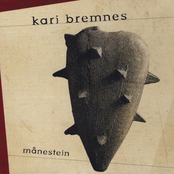 Du Har Sett Dem by Kari Bremnes