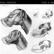 Like a Dog