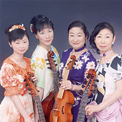 yukimi kambe viol consort