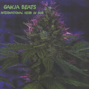 Natty Dub by Ganja Beats