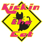 Kickin The Cat