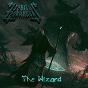 The Wizard (2016 - LP)