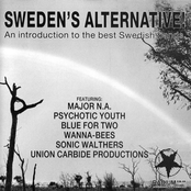 Sweden's Alternative! An Introduction To The Best Swedish Bands