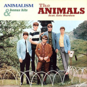 Monterey by The Animals