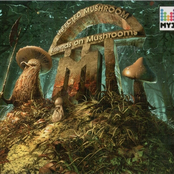 infected mushroom feat. savant