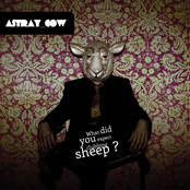 astray cow