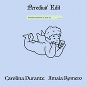 Perdona (Ahora Sí Que Sí) - Single