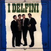 I Delfini